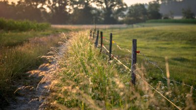 Rustic Countryside Fence at Sunset Wallpaper HD 4K Aesthetic Nature