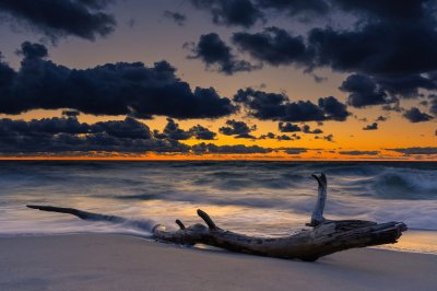 Dramatic Beach Sunset Wallpaper HD 4K Aesthetic Driftwood Seascape