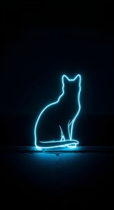 Neon Cat Aesthetic Wallpaper HD 4K - Cool Blue Glow for Mobile