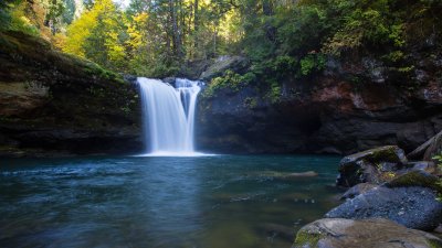 Stunning Forest Waterfall Wallpaper HD 4K - Aesthetic Nature Scene