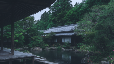 Serene Japanese Zen Garden Wallpaper HD 4K Aesthetic Cool Nature