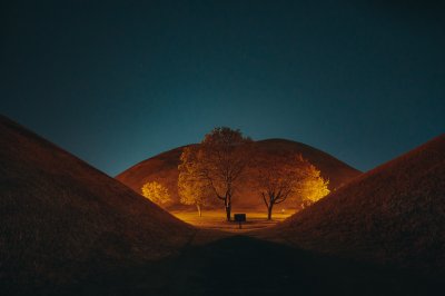 Aesthetic Night Landscape Wallpaper HD 4K - Cinematic Glowing Trees