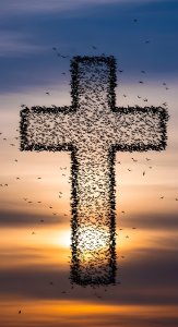 Cross Bird Murmuration Sunset Wallpaper HD 4K Aesthetic Spiritual