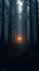 Mystical Foggy Forest with Glowing Light Wallpaper HD 4K Aesthetic Cool