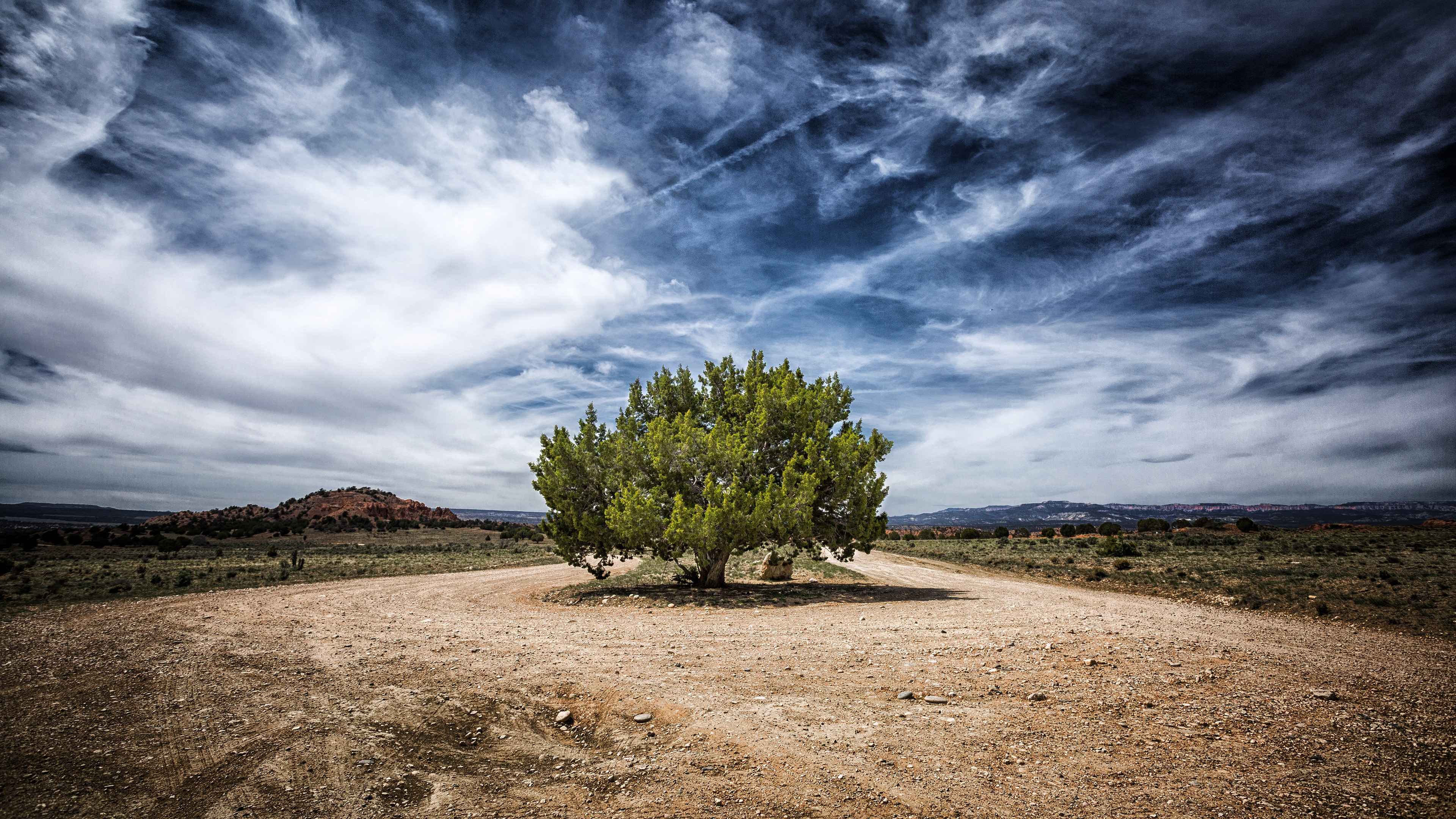 Lone Tree at the Crossroads Desert Landscape Wallpaper HD 4K Aesthetic