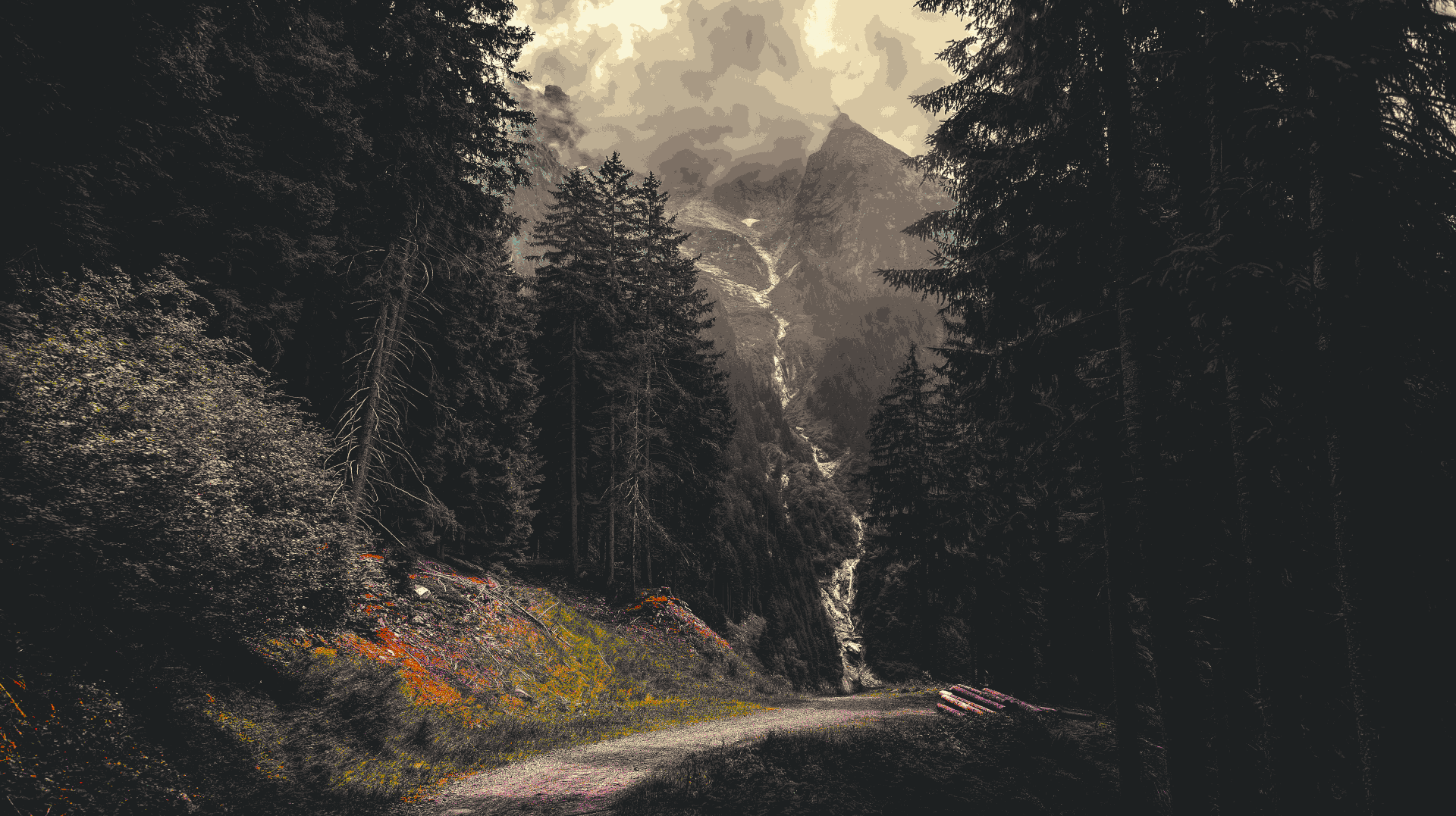 Moody Forest Mountain Path Wallpaper HD 4K - Aesthetic Nature Scene