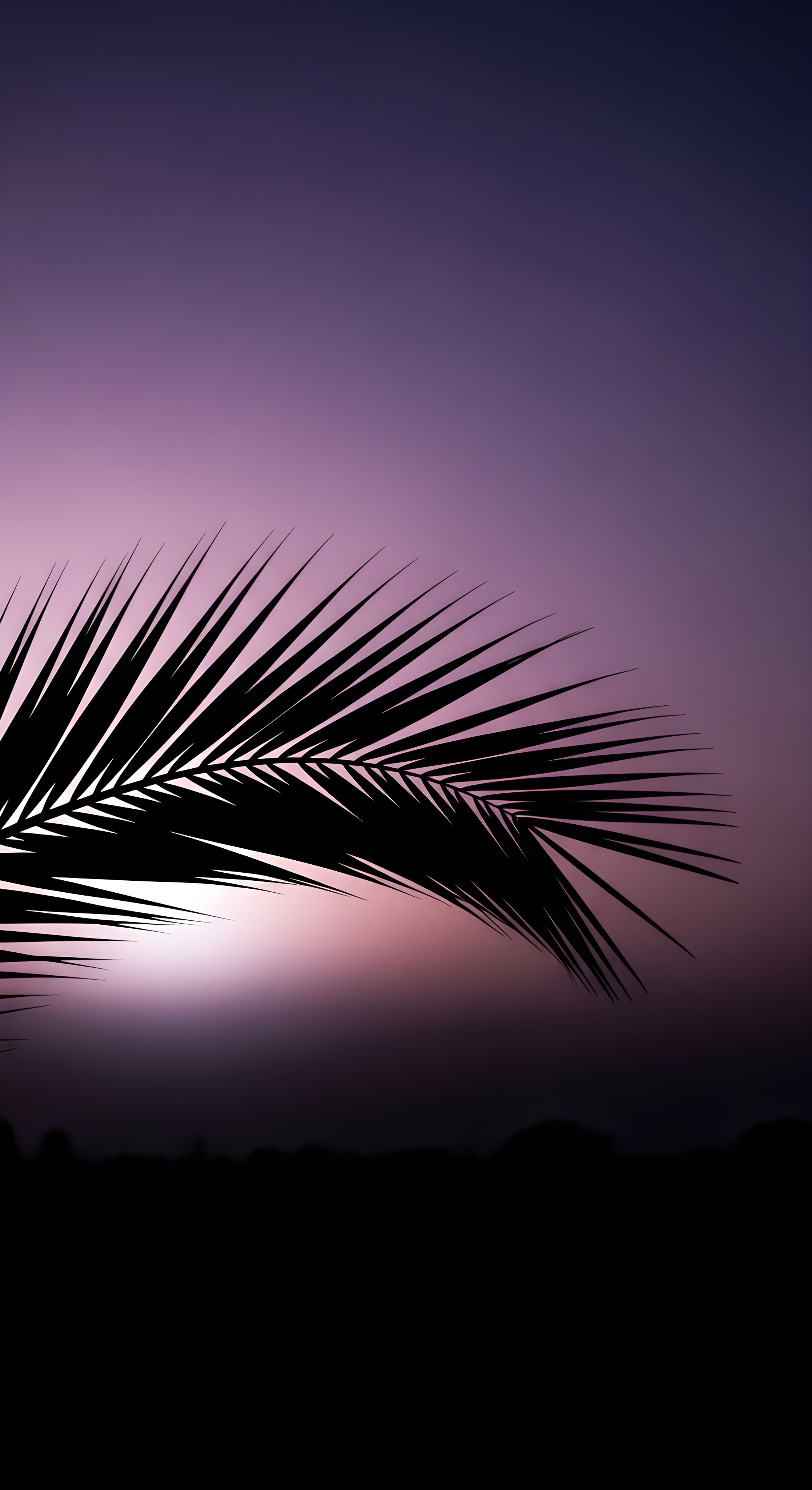 Aesthetic Palm Leaf Sunset Wallpaper HD 4K Purple Sky Background