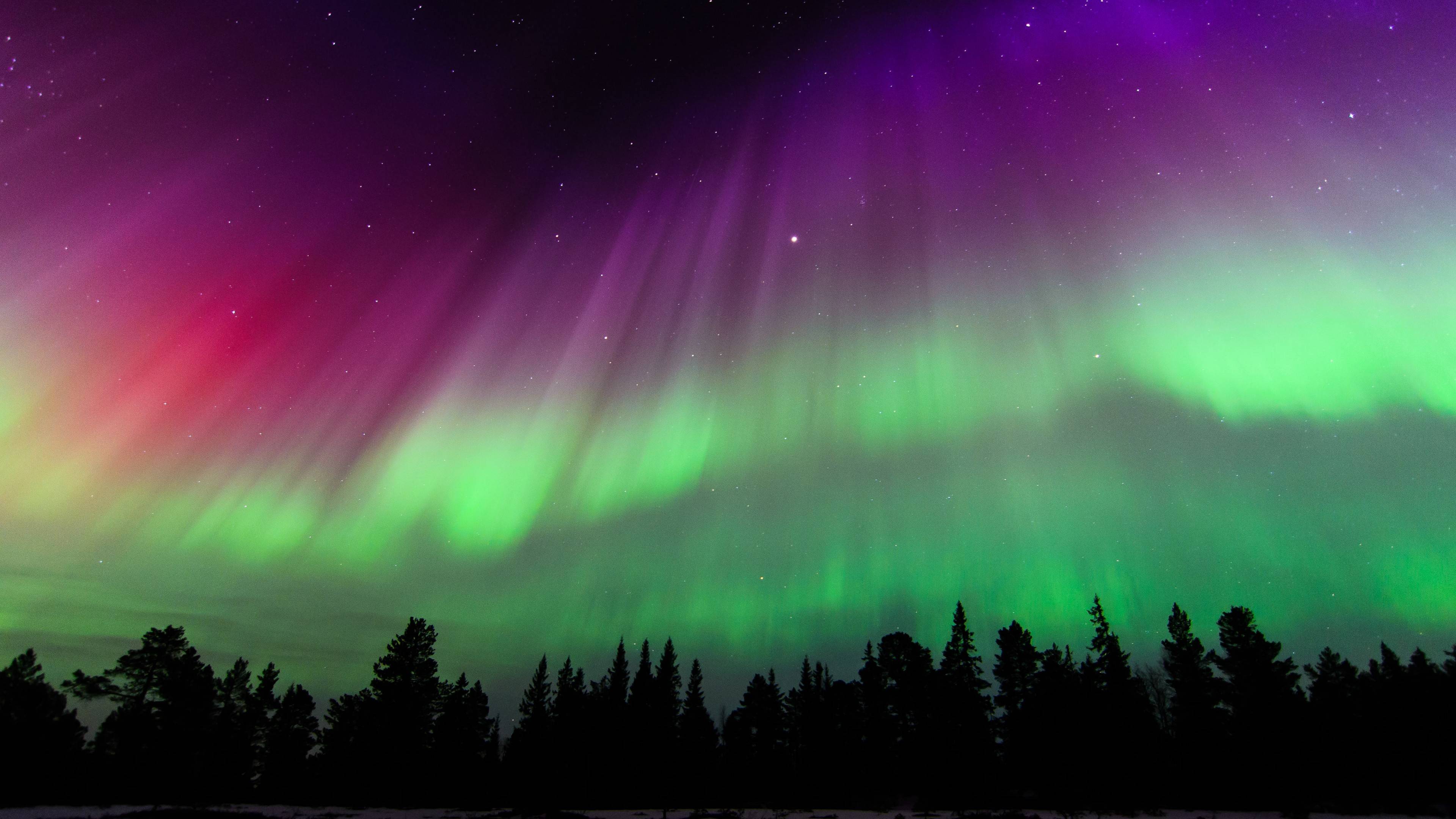 Stunning Aurora Borealis Night Sky Wallpaper HD 4K Aesthetic Forest
