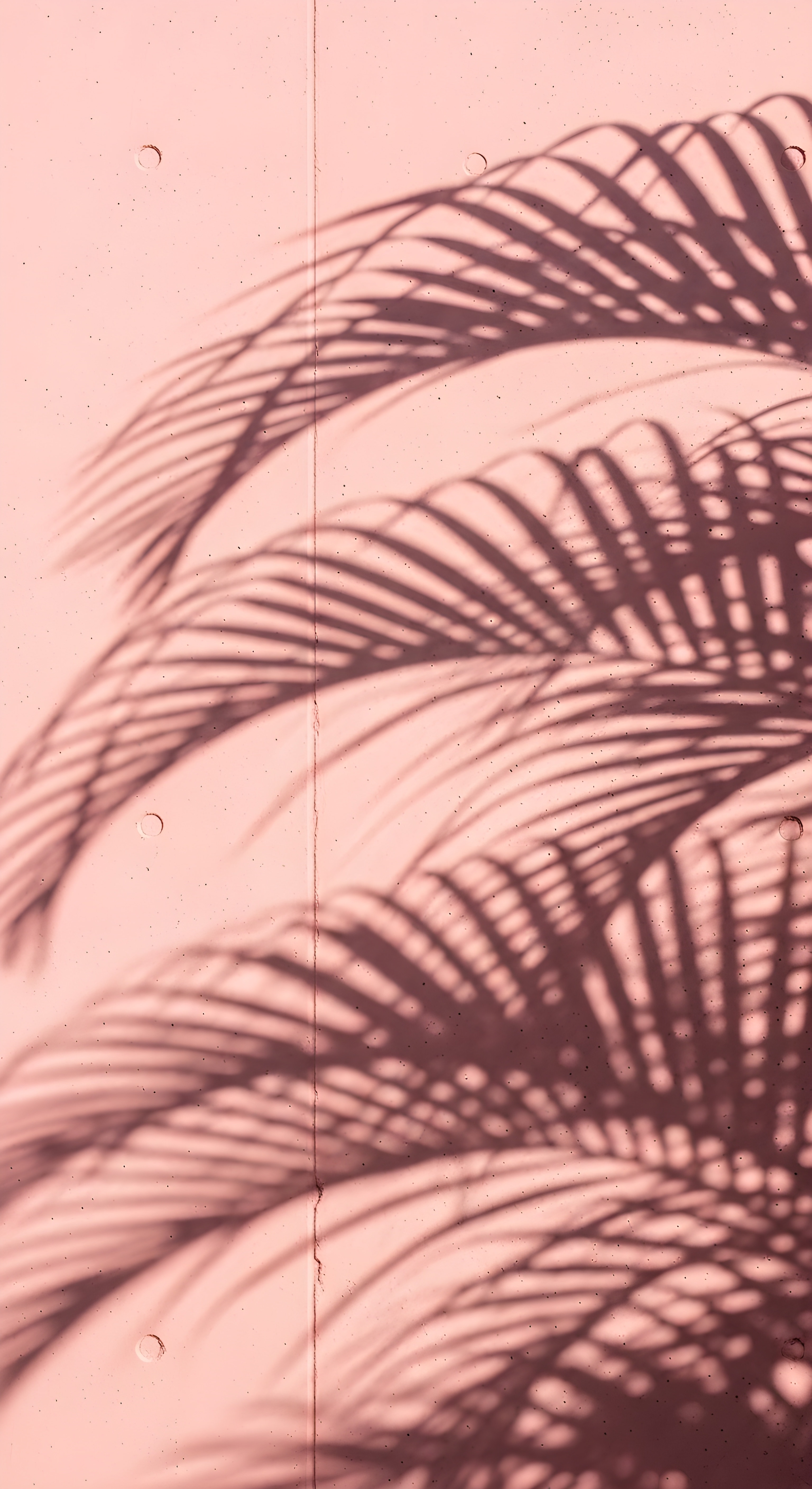Aesthetic Pink Palm Shadow Wallpaper HD 4K - Minimalist Summer Vibe